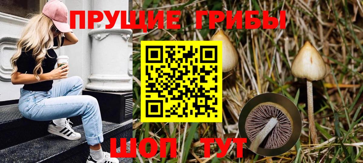 Псилоцибиновые грибы GOLDEN TEACHER Каменск-Уральский