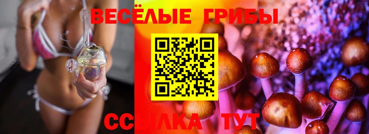 Каменск-Уральский  Псилоцибиновые грибы Psilocybe  Вход с VPN 